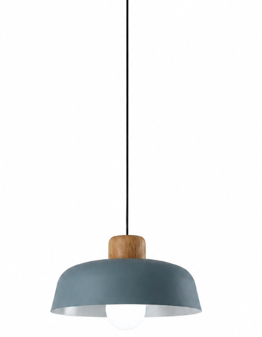 Jake Scandinavian Metal Dome Pendant Light with Wood Detail