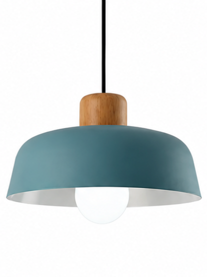 Jake Scandinavian Metal Dome Pendant Light with Wood Detail