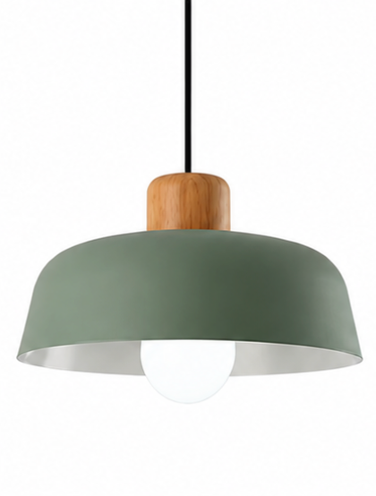 Jake Scandinavian Metal Dome Pendant Light with Wood Detail