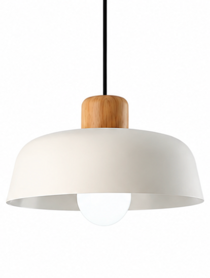Jake Scandinavian Metal Dome Pendant Light with Wood Detail