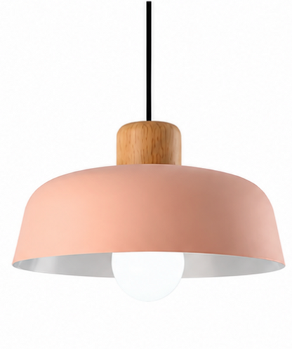 Jake Scandinavian Metal Dome Pendant Light with Wood Detail