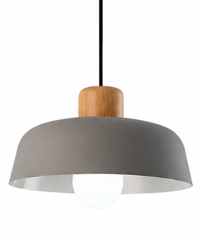 Jake Scandinavian Metal Dome Pendant Light with Wood Detail