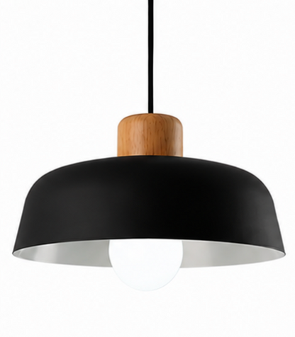 Jake Scandinavian Metal Dome Pendant Light with Wood Detail