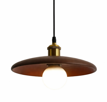 Luke Minimalist Metal Pendant Light with Brass Details