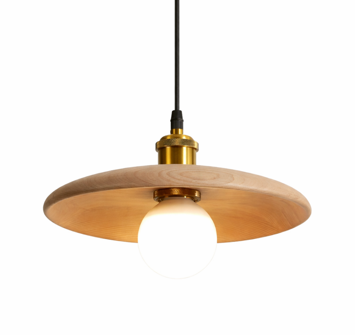 Luke Minimalist Metal Pendant Light with Brass Details